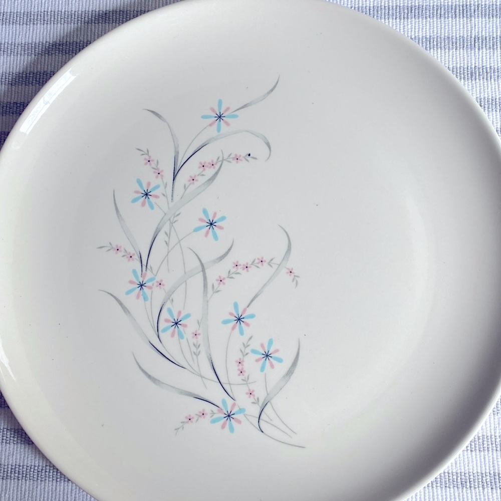 Dinner plate